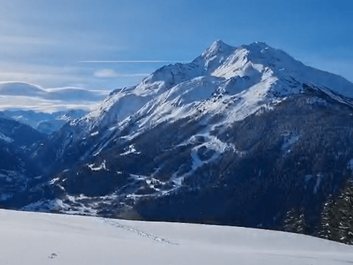 Pour la préservation de la prairie&nbsp;(suite)